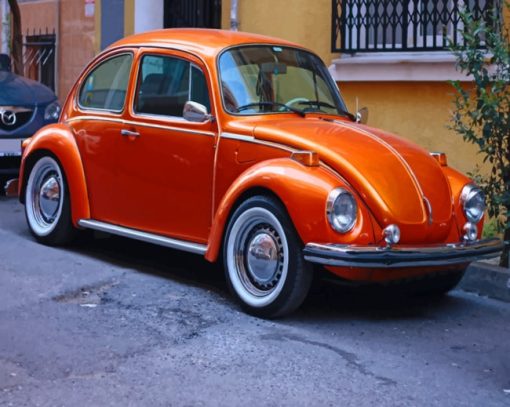 Orange Cool Beetle paint by numbers