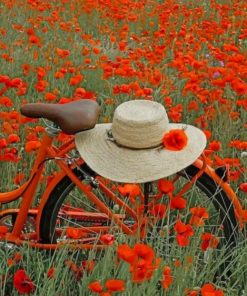 Orange Bike In A Field Of Flowers painting by numbers