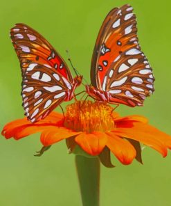 Orange Monarch Butterfly paint by numbers