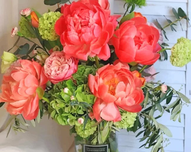 Pack Of pink Flowers painting by numbers