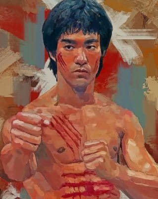 Painting Of Bruce Lee painting by numbers