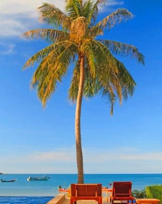 Lone Palm Tree On The Beach paint by numbers