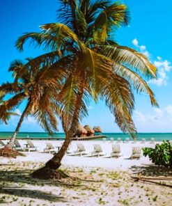 Palm Tree On The Beach paint by numbers