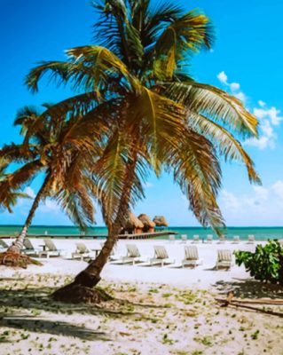 Palm Tree On The Beach paint by numbers