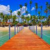 Palm Trees And Board Walk paint by numbers