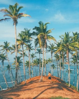 Palm Trees On The Shore paint by numbers