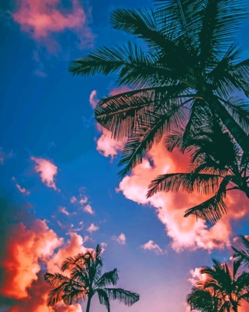 Palm Trees Under Cloudy Sky paint by numbers