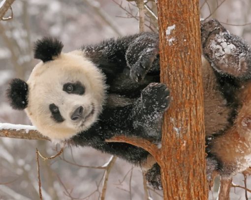 Panda On Tree painting by numbers