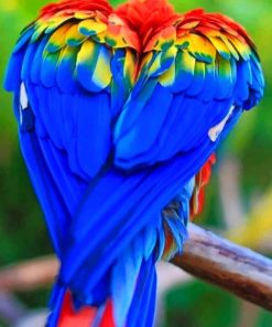 Colorful Parrot From Behind paint by numbers