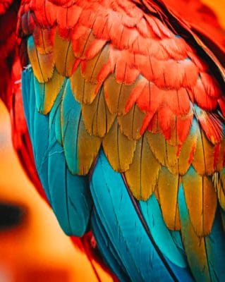 Bright Parrot Feather paint by numbers