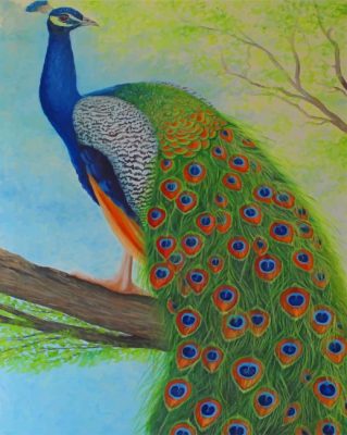 Peacock Art painting by numbers