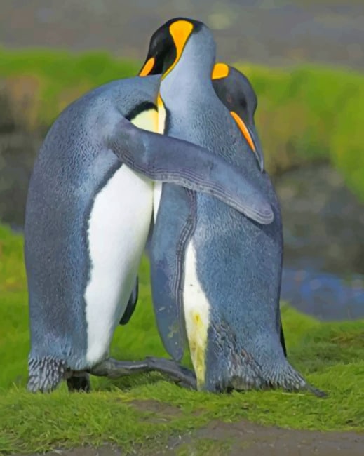 Penguin Hugging painting by numbers