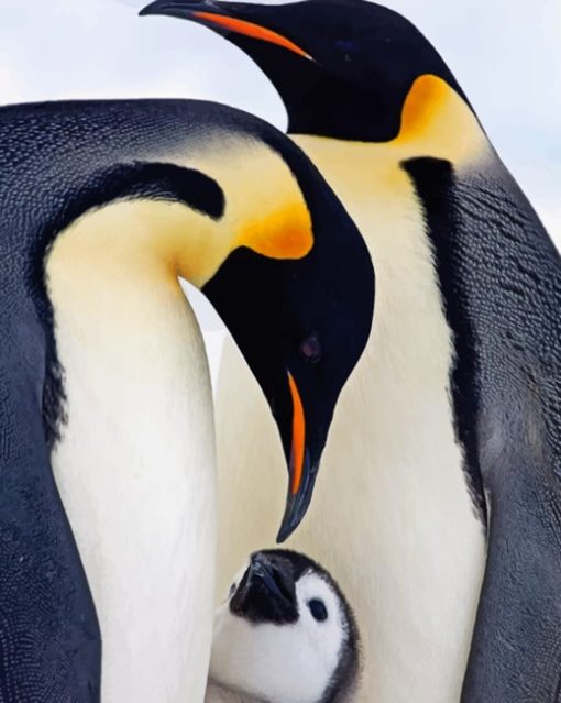 Penguin's Family painting by numbers