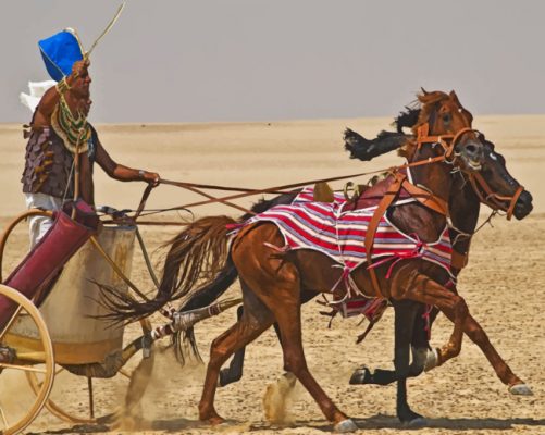 Pharaohs Horses Chariot paint by numbers