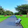 Phoenix Park Dublin painting by numbers
