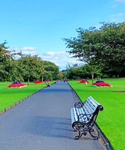 Phoenix Park Dublin painting by numbers