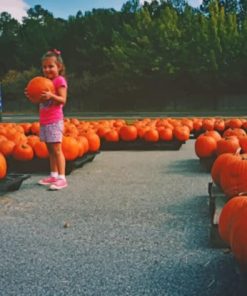 Girl In Pumpkin Field paint by numbers