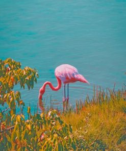 Pink Flamingo Near Grass Field painting by numbers