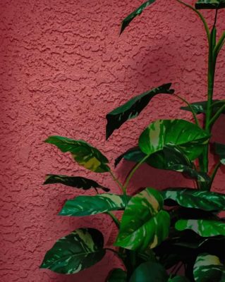 Green Plant Screensaver painting numbers