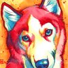 Red Husky Pop Art painting by numbers