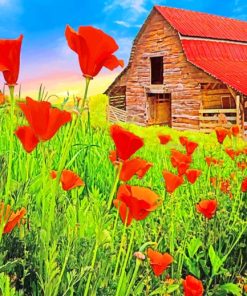 Poppy Field Barn paint by numbers