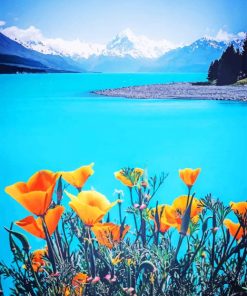 Pukaki Lake In New Zealand painting by numbers