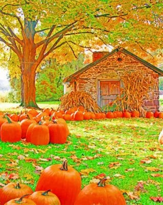 Pumpkins Farm paint by numbers