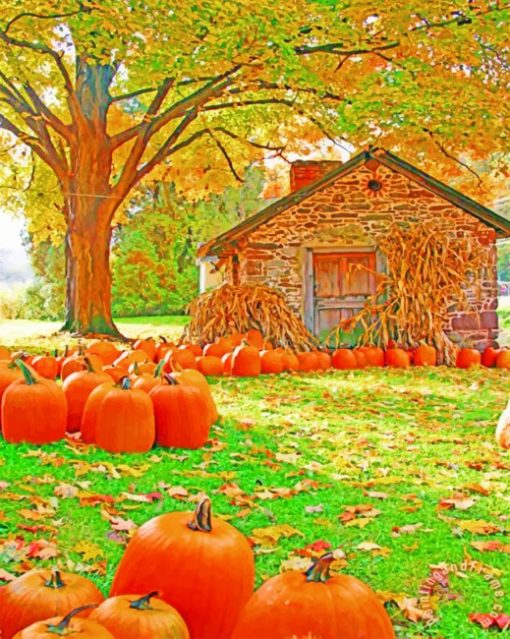 Pumpkins Farm paint by numbers