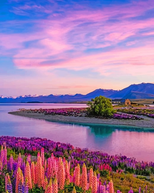 Purple Nature painting by numbers