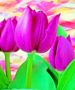 Purple Tulips paint by numbers