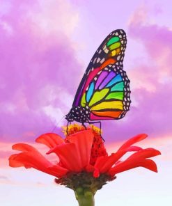 Rainbow Butterfly Aesthetic painting by numbers