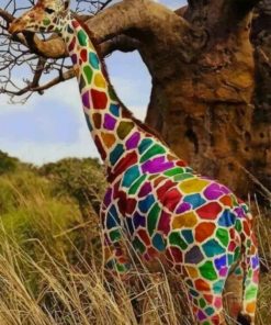 Rainbow Giraffe painting by numbers