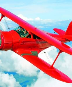 Red Beech Staggerwing paint by numbers