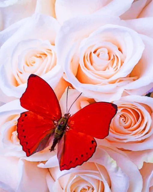 Red Butterfly Among White Roses painting by numbers