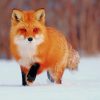 Red Fox In The Snow paint by numbers