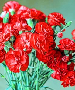 Red Petaled Flowers paint by numbers