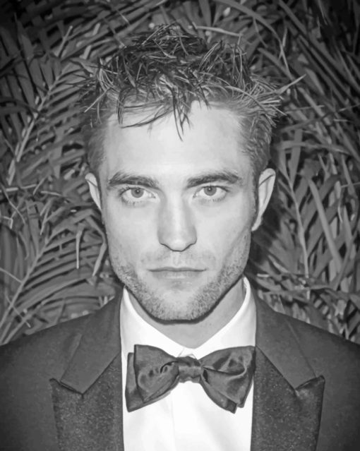 Robert Pattinson Black And White paint by numbers