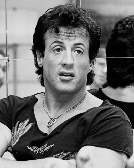 Rocky Balboa Black And White paint by numbers