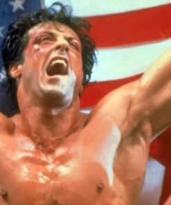 Rocky Balboa And The American Flag paint by numbers