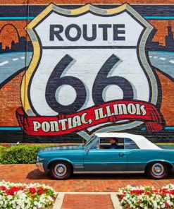 Pontiac Near The Flowers And Graffiti paint by unmbers