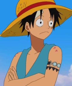 Sad Luffy One Peace painting by numbers