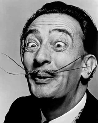 Salvador Dali painting by numbers