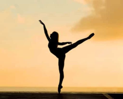Dancer's Silhouette paint by numbers