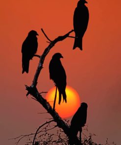 Silhouette Of Birds painting by numbers