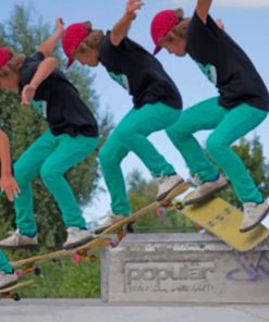 Skateboarder Doing A Trick paint by numbers