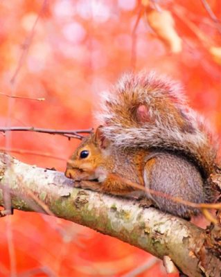 Squirrel On The Tree paint by numbers