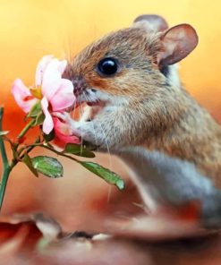 Squirrel Smelling Flower paint by numbers