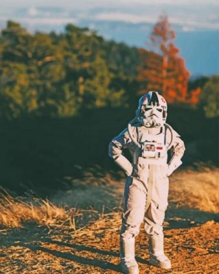 Star Wars Character In The Forest paint by numbers