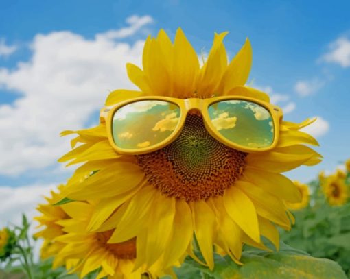Sun Flower With Sun Glasses painting by numbers