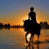 Horse Riding On A Beach paint by numbers